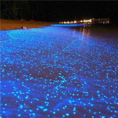 卓越大天使破解版下载